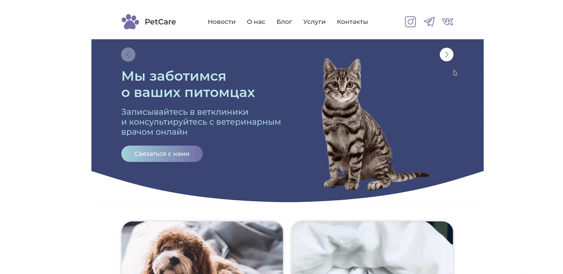 petcare project